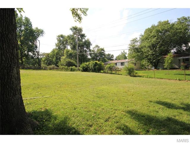 1111 Dauphine, Ballwin, MO 63011 photo 16