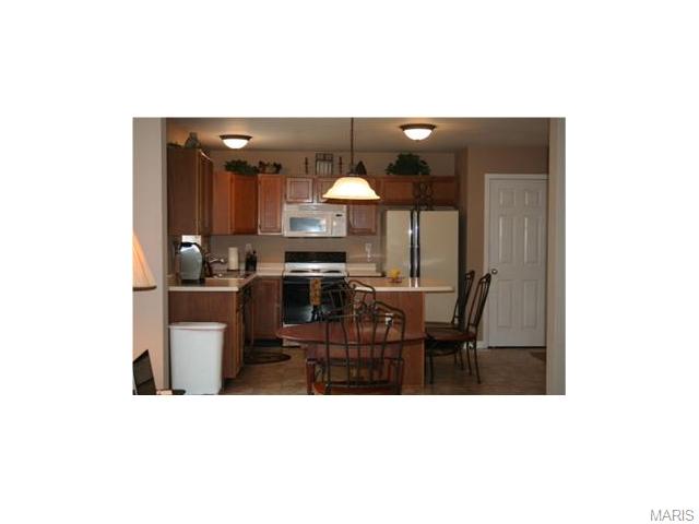 1475 Cochise Dr, O'fallon, MO 63366 photo 10