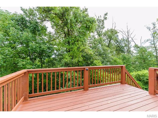 1316 Renaissance Pl, Weldon Spring, MO 63304 photo 41
