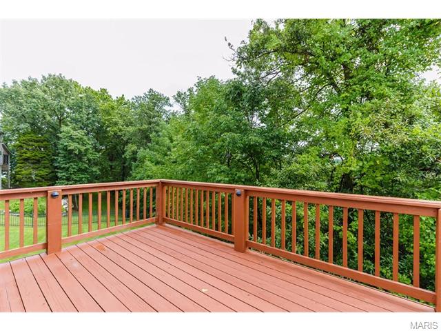 1316 Renaissance Pl, Weldon Spring, MO 63304 photo 40