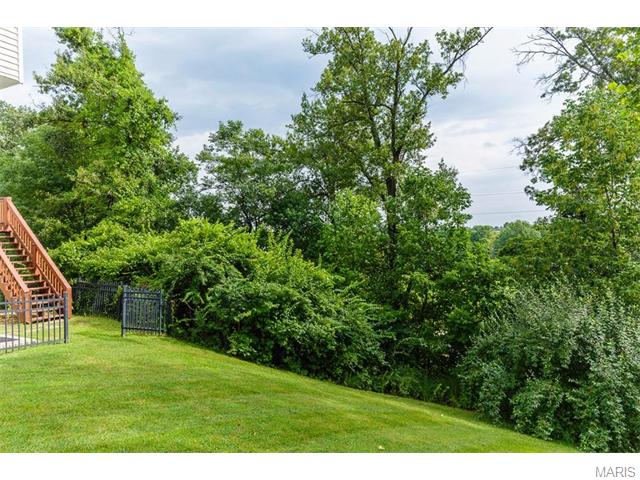 1316 Renaissance Pl, Weldon Spring, MO 63304 photo 42