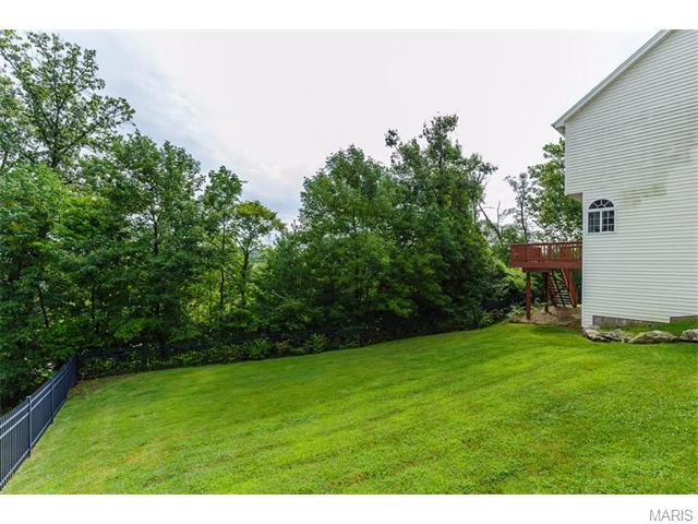 1316 Renaissance Pl, Weldon Spring, MO 63304 photo 44