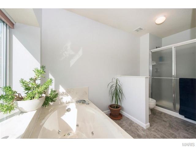 8 White Chapel Ct, O'fallon, MO 63368 photo 15