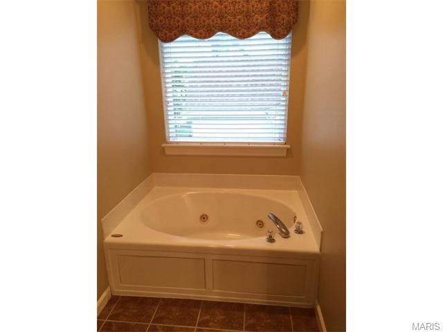 560 Bluffs View Ct, Eureka, MO 63025 photo 28