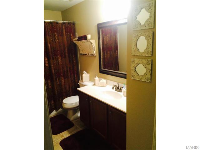 560 Bluffs View Ct, Eureka, MO 63025 photo 38