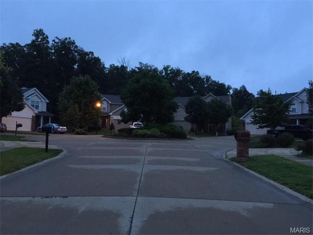 560 Bluffs View Ct, Eureka, MO 63025 photo 49