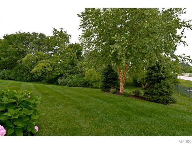 202 Summit Ridge Pl, Weldon Spring, MO 63304 photo 36