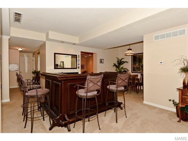202 Summit Ridge Pl, Weldon Spring, MO 63304 photo 25