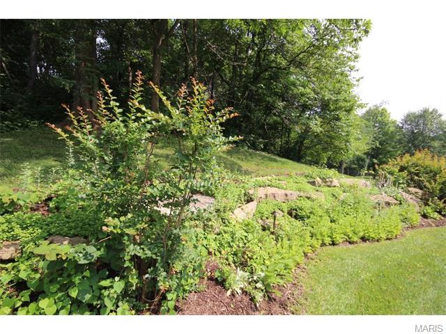 348 Redwood Forest Ct, Ballwin, MO 63021 photo 50