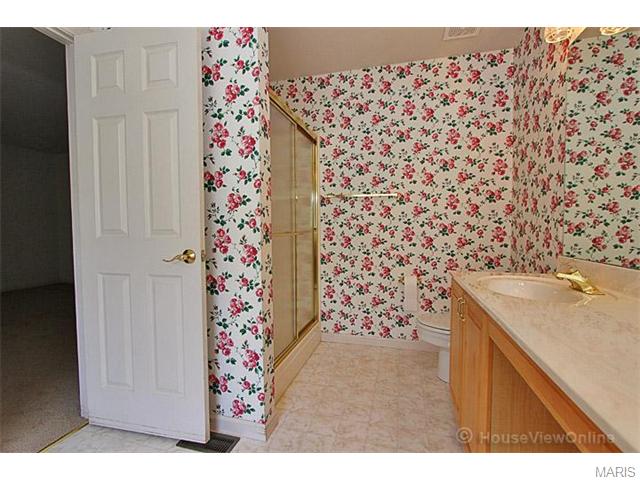 115 Lissadell Ln, Saint Charles, MO 63304 photo 37