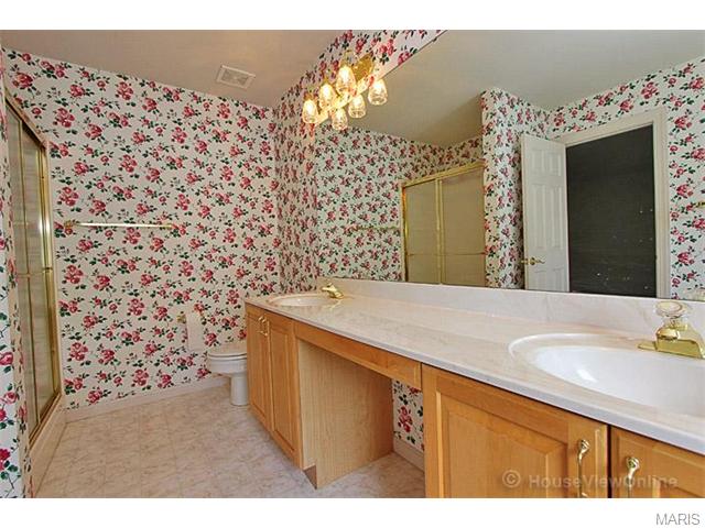 115 Lissadell Ln, Saint Charles, MO 63304 photo 41