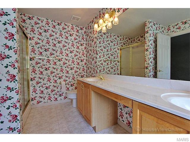 115 Lissadell Ln, Saint Charles, MO 63304 photo 40