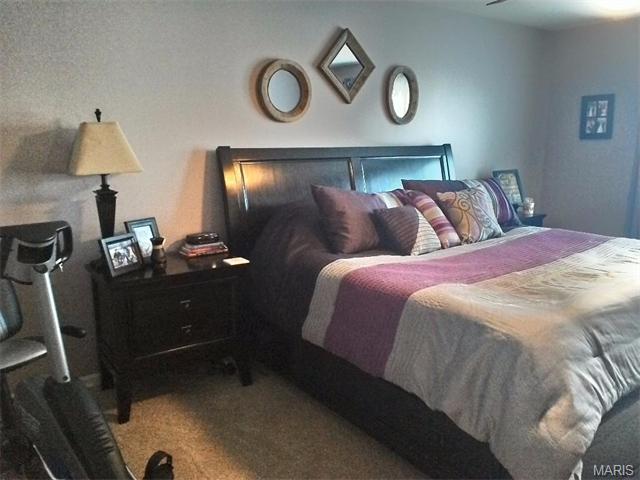1618 Grace Vw, Eureka, MO 63025 photo 25