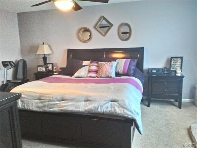 1618 Grace Vw, Eureka, MO 63025 photo 29