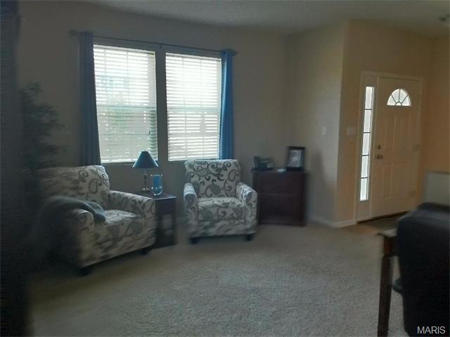 1618 Grace Vw, Eureka, MO 63025 photo 38