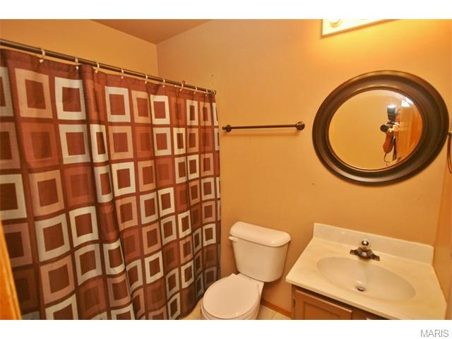 24 Mary Beth Ct, O'fallon, MO 63368 photo 17