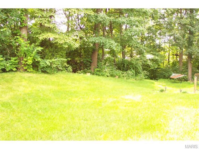 12 Bramblett Holw, O'fallon, MO 63366 photo 30