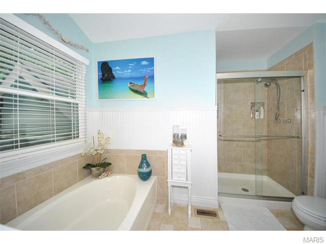 9 Conestoga Ct, O'fallon, MO 63368 photo 20
