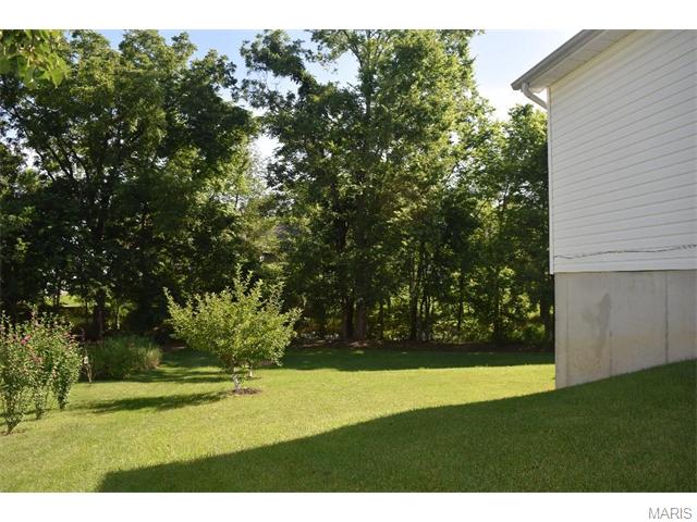 2727 Post Meadows Dr, O'fallon, MO 63368 photo 45