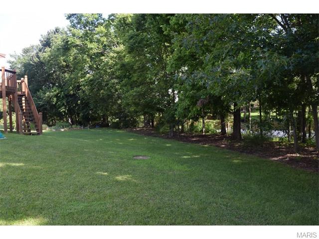 2727 Post Meadows Dr, O'fallon, MO 63368 photo 6