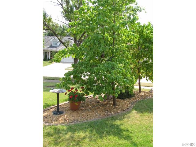 1447 Cedar Bluff Dr, Ballwin, MO 63021 photo 2