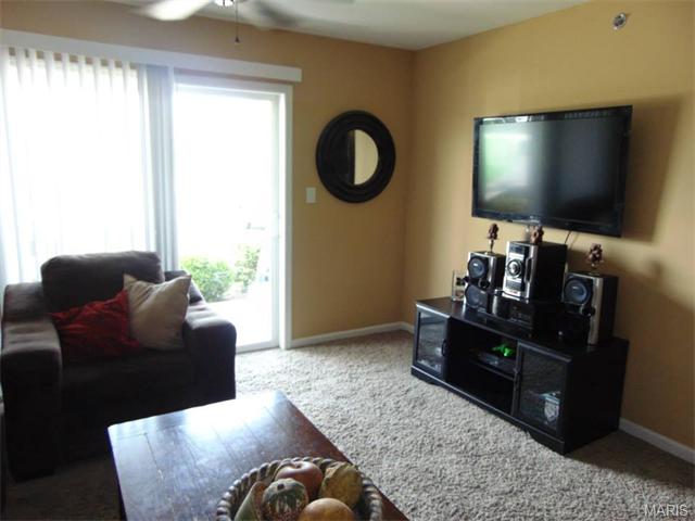 8100 Spring Creek Ln, O'fallon, MO 63368 photo 6