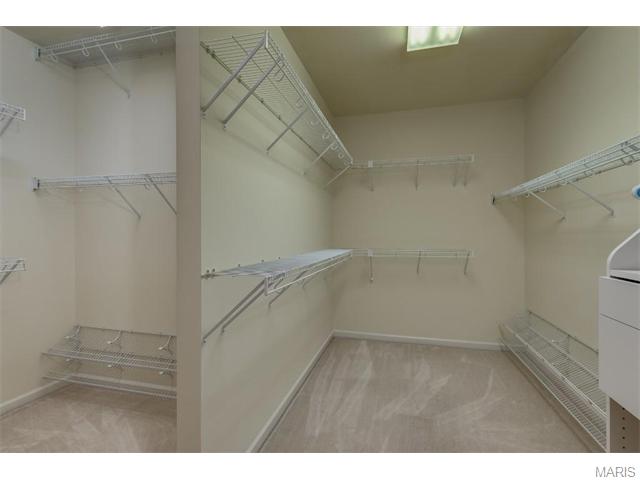 5423 Guinevere Dr, Weldon Spring, MO 63304 photo 46
