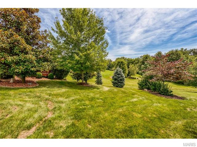 5423 Guinevere Dr, Weldon Spring, MO 63304 photo 7