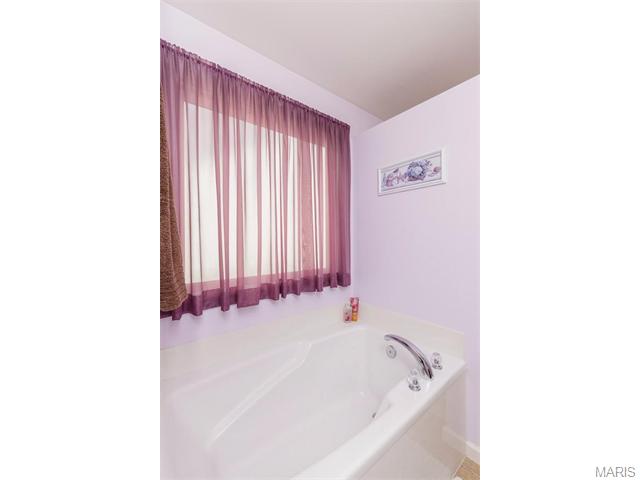 2506 Fastball Dr, O'fallon, MO 63366 photo 21