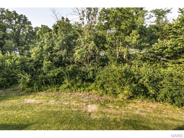 168 Baxter Commons Dr, Ballwin, MO 63011 photo 16
