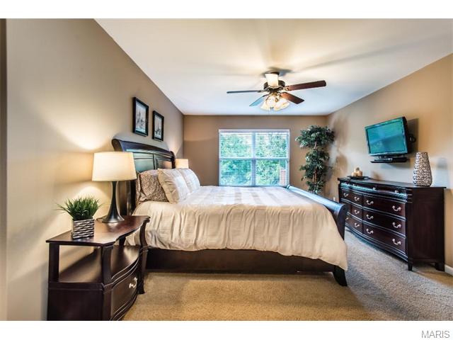 168 Baxter Commons Dr, Ballwin, MO 63011 photo 22