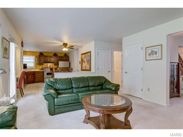 838 Surrey Meadows Ct, Ellisville, MO 63021 photo 9