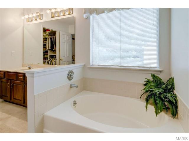 838 Surrey Meadows Ct, Ellisville, MO 63021 photo 22