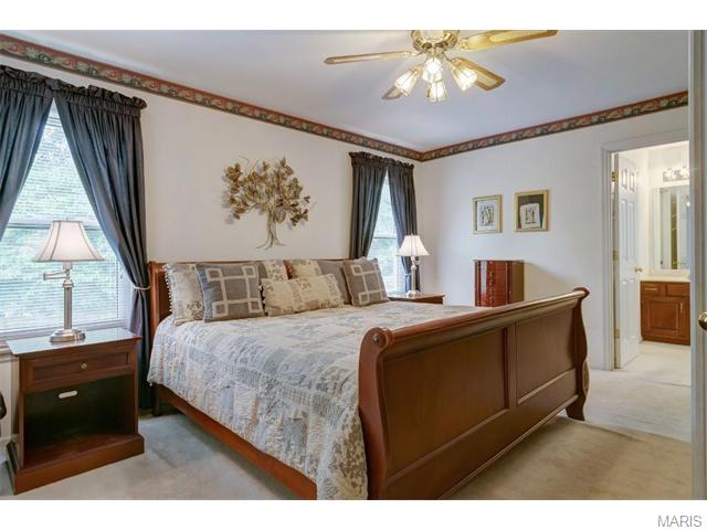 838 Surrey Meadows Ct, Ellisville, MO 63021 photo 19