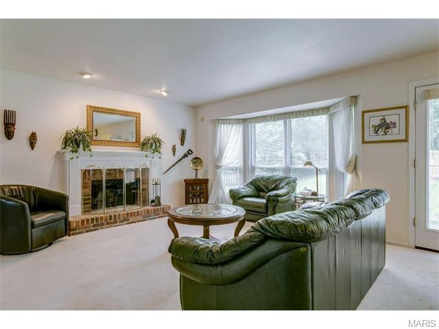 838 Surrey Meadows Ct, Ellisville, MO 63021 photo 8