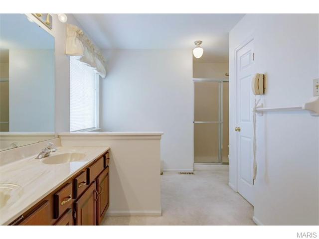 838 Surrey Meadows Ct, Ellisville, MO 63021 photo 21