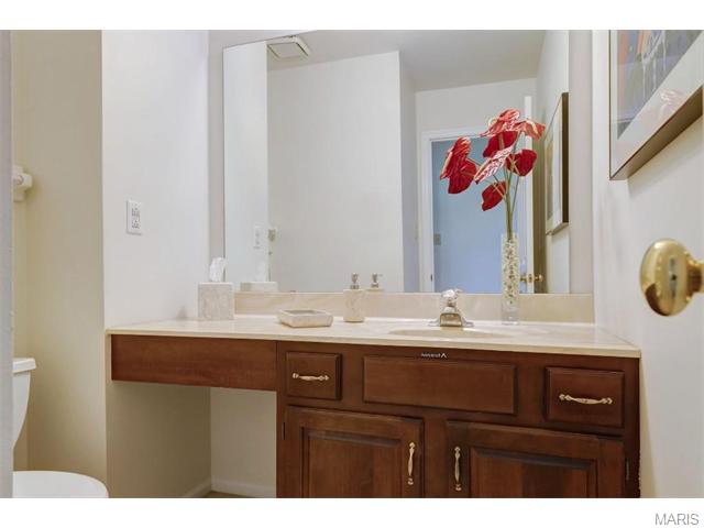 838 Surrey Meadows Ct, Ellisville, MO 63021 photo 17