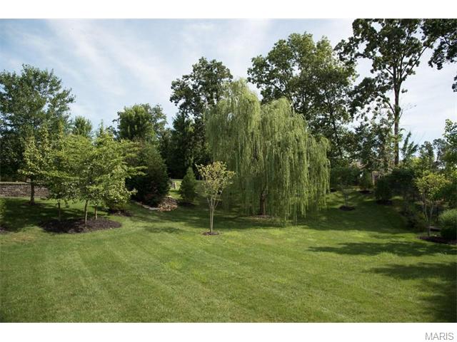 23 Rock Wind Ct, O'fallon, MO 63368 photo 6