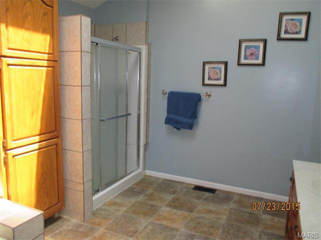714 Oak Hall Ln, Ballwin, MO 63021 photo 14