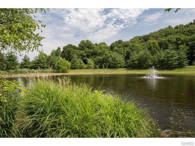 739 Vista Glen Ct, Eureka, MO 63025 photo 36