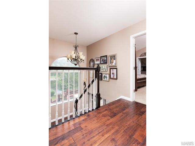 739 Vista Glen Ct, Eureka, MO 63025 photo 27