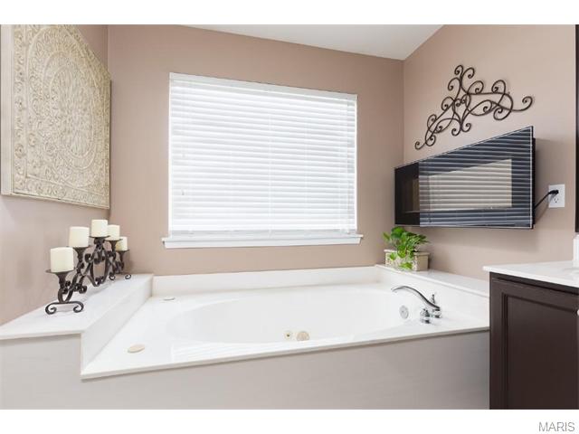 739 Vista Glen Ct, Eureka, MO 63025 photo 22