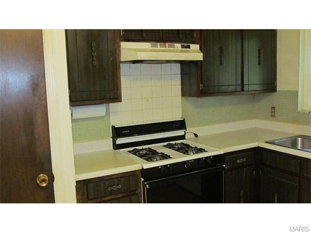 933 Barbara Ann Ln, Ellisville, MO 63021 photo 12