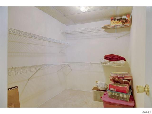 757 Strafford Ridge Dr, Ballwin, MO 63021 photo 35