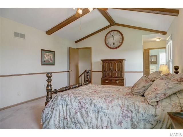757 Strafford Ridge Dr, Ballwin, MO 63021 photo 19
