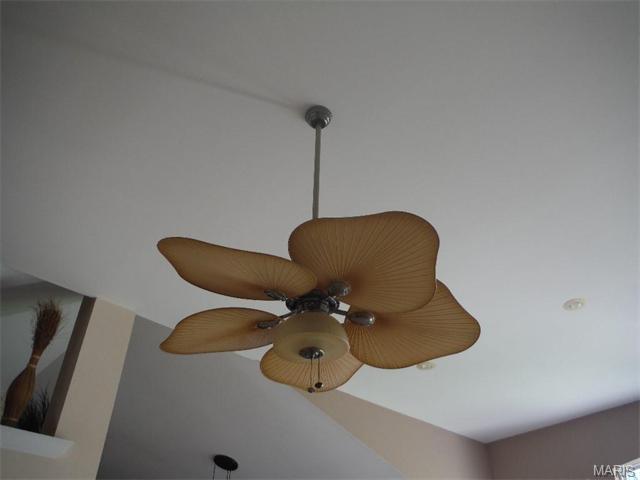 294 Thoreau Blvd, O'fallon, MO 63366 photo 48