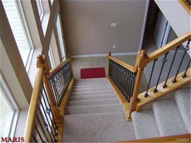294 Thoreau Blvd, O'fallon, MO 63366 photo 90
