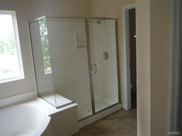 294 Thoreau Blvd, O'fallon, MO 63366 photo 53