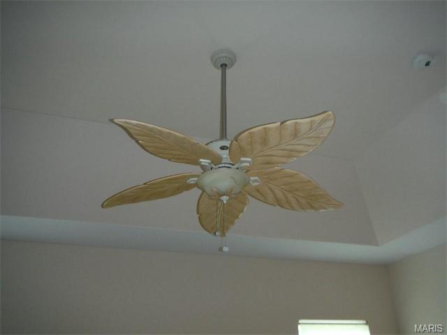 294 Thoreau Blvd, O'fallon, MO 63366 photo 16