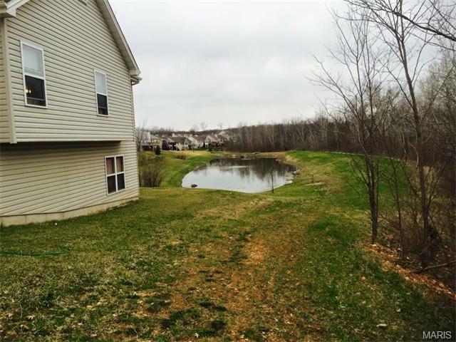 294 Thoreau Blvd, O'fallon, MO 63366 photo 40